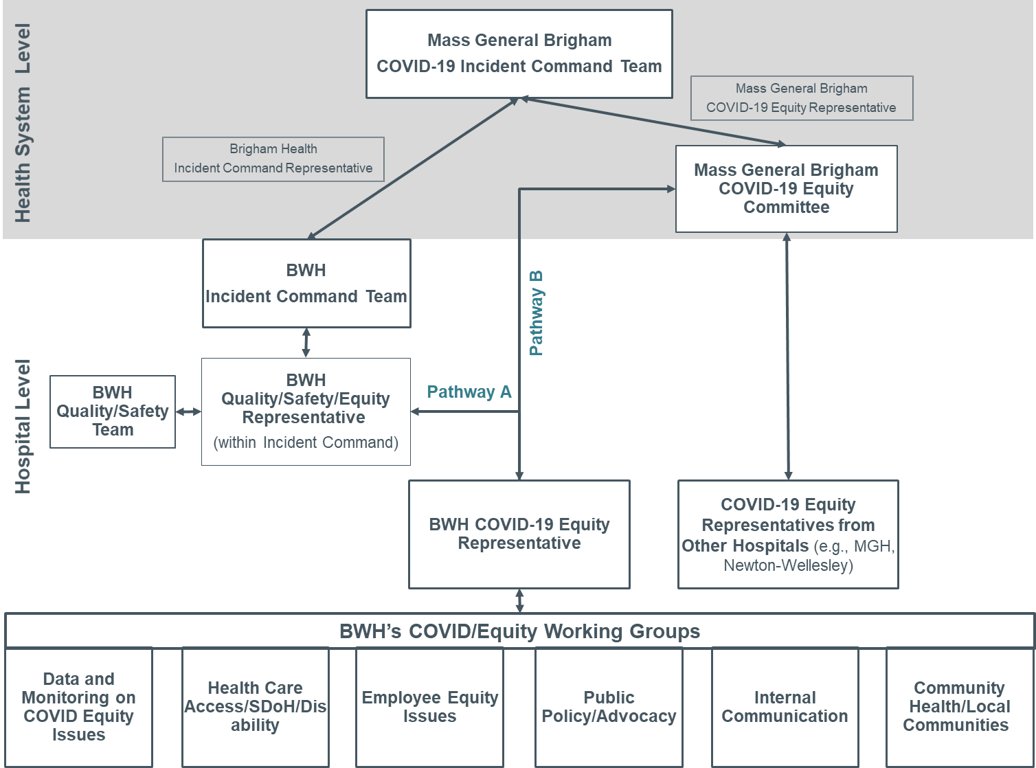 Brigham and Women's Hospital Structure for Integration of Equity into Incident Command Teams