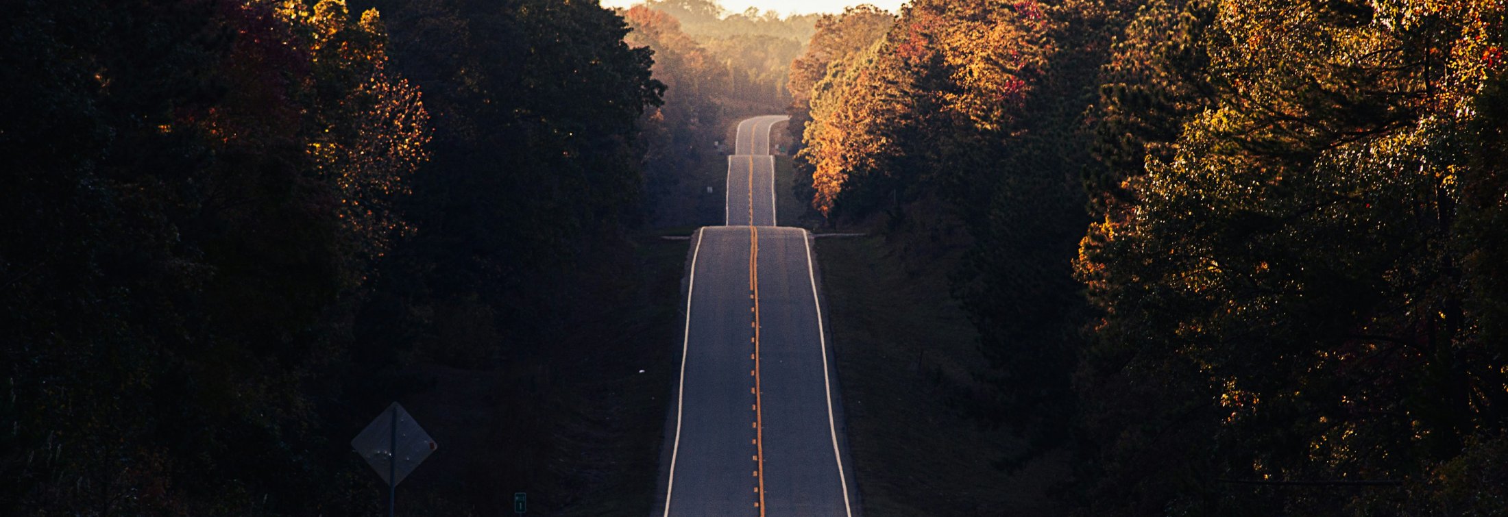 Asphalt road between trees